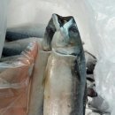 자반고등어 이미지