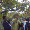 가루매마을 이미지