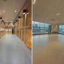 옐레드 애견유치원 애견호텔 하남미사점 이미지