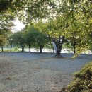 강변오토캠핑장 이미지