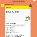 금호항공여행사유 | 카타르 항공 수화물 파손 보상 온라인 신청 후기 (+카카오 여행자보험 신청 비교)