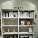 러버독&도그팰리스 이미지