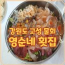 영순이 밥집 | 강원도 고성 맛집 물회 속초 영순네횟집 방문 기록과 이용 팁 정리