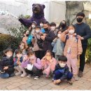 마스터 태권도 이미지