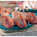 서귀포오일시장-2 이미지