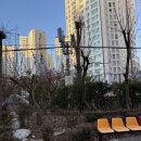 목련5단지(아)경로당 | [아파트단지 임장5] 당산 한강아파트 임장 후기