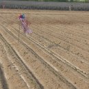 헬스탑(주) | 비둘기 까치 콩밭 피해, 양주시 2000평 실증 데이터가 말해주는 진짜 해결책 (오호바이오 쌔스탑)