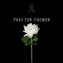 타이거 태권도장 이미지