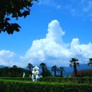 바다위에정원 이미지