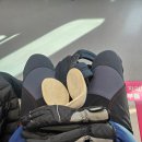 인삼로 | 소백산 등산 후기(죽령탐방지원센터 - 제2연화봉대피소 - 연화봉 - 비로봉 - 삼가주차장)