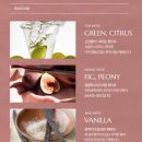 헤어오니바 | 엘롭 피오니반 오드코롱 한 달 사용 후기