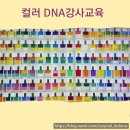 코지시엘 | 천안 아로마 공방 코지 시엘 컬러 DNA 강사 교육 참여 후기