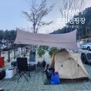 대왕암공원 캠핑장 | 울산 대왕암공원 오토캠핑장 코베아 에이콘 텐트와 타프로 4월 캠핑