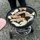 콜라니티다 이미지