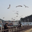 등대세탁소 이미지