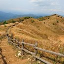 삼례약수 이미지