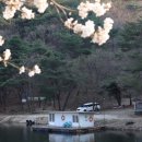 문막초 취병분교장 이미지