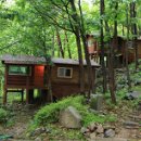 비슬산휴양림캠핑장 이미지