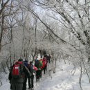 수원-1912 이미지