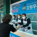 춘천철원화천양구축산농협하나로마트 - 춘천시 경춘로 2342 | 춘천철원화천양구축산농협하나로마트