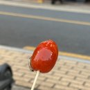 칭따오 탕후루 네이버블로그