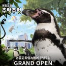 애니멀타임 이미지