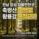 편백힐링스토리