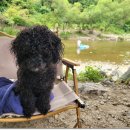 의룡계곡펜션 이미지