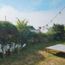 달밤한옥펜션 | 구례감성펜션, 조용하게 촌캉스즐기고온 달밤한옥펜션 :)