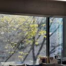 세이프짐 이미지