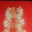 2025 세계불꽃축제 이미지