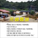 #충청도점집 #부여점집 천리통으로 소문났어요 이미지