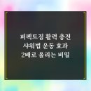 퍼펙트짐#2 이미지
