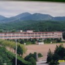 진교중학교 이미지