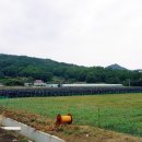 찬호농장 이미지