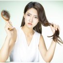 오소울산 이미지