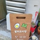 샐러드마망 이미지