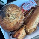 노스파이 | 호주 시드니 카페 미트파이 맛집 버크 스트리트 베이커리