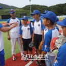 꿈나무수정 이미지