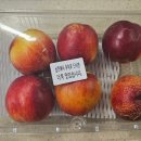 쥬이시팜