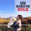 심바는 크리스마스 | 담양 애견동반카페 파인드업 감성가득 힐링가능한 카페 내돈내산 솔직후기