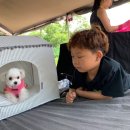 하늘연 캠핑장 이미지