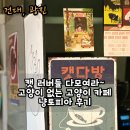 인형뽑기앤샵 | 건대 놀거리 건대 이색 카페 냥토피아에서 데이트 하고 온 후기