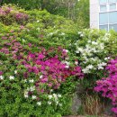 정각사입구 이미지