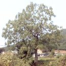 거상당구장 이미지