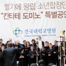 정오자원 이미지