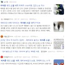 [예랑시점][본식] Ep.10 업라이트 스냅 | 본식스냅 + 본식DVD 웨딩스냅