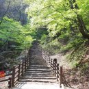 물깨말구구리길(봄내길 2코스) 이미지