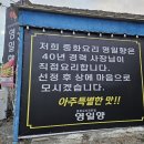 영일향