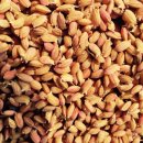 어진농장 이미지